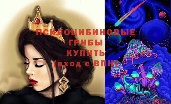 трава Бикин