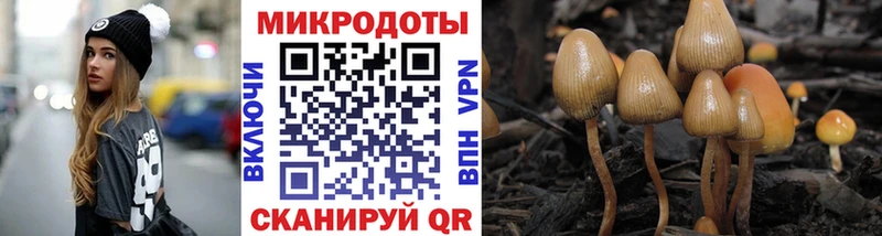 Галлюциногенные грибы мицелий купить наркотики сайты Горняк